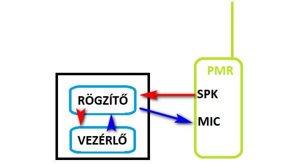 PMR papagáj belső felépítése